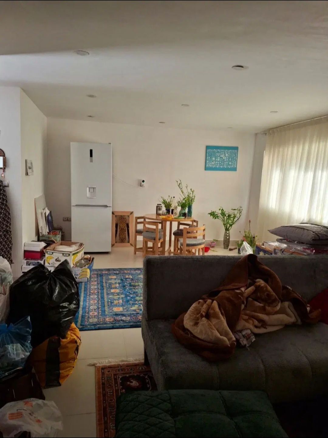 IMG_20260123_175241_357